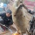 羊肉