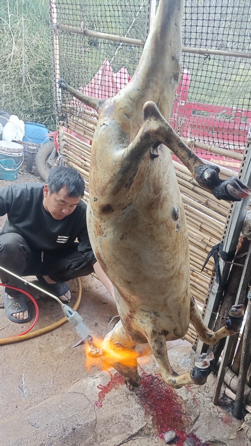 羊肉