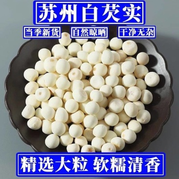 正宗苏州鸡头米干货茨实无硫野生祛湿煲汤料新货大颗粒去皮白