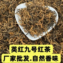 英红九号红茶英德红茶茶厂批发金芽花果香散装