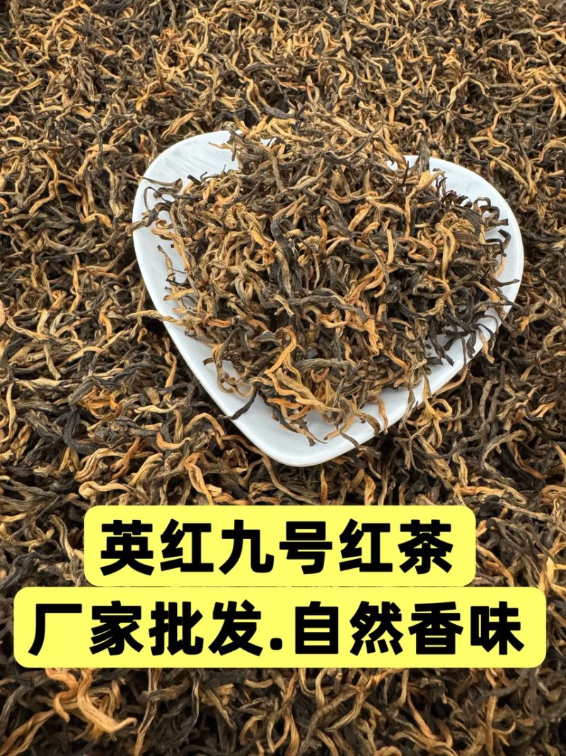 英红九号红茶英德红茶茶厂批发金芽花果香散装