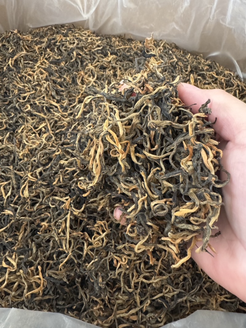 英红九号红茶英德红茶茶厂批发金芽花果香散装