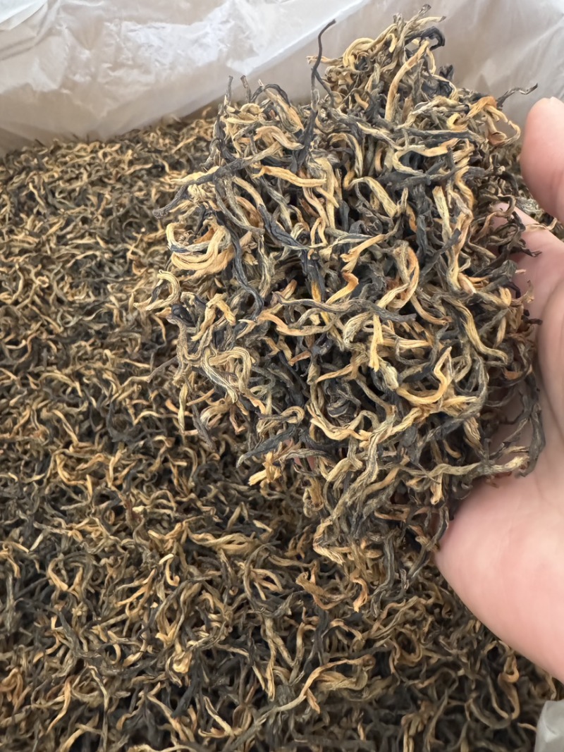 英红九号红茶英德红茶茶厂批发金芽花果香散装