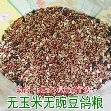 幼鸽粮鸽子饲料鸽子料无玉米无豌豆小嘴鸽观赏鸽信鸽幼鸽粮