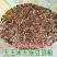 幼鸽粮鸽子饲料鸽子料无玉米无豌豆小嘴鸽观赏鸽信鸽幼鸽粮