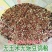 幼鸽粮鸽子饲料鸽子料无玉米无豌豆小嘴鸽观赏鸽信鸽幼鸽粮