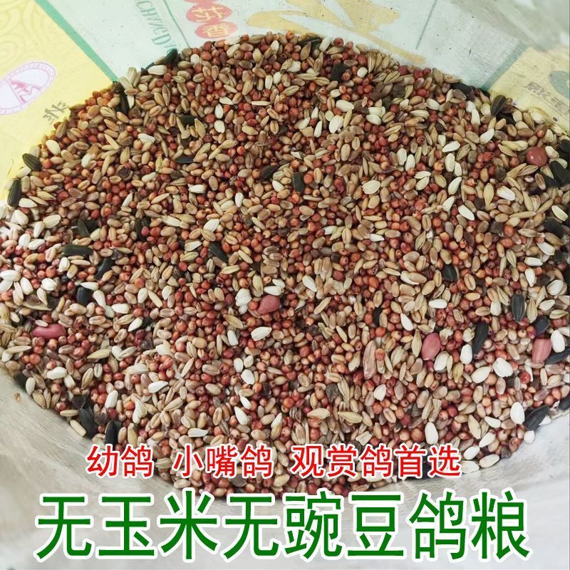 幼鸽粮鸽子饲料鸽子料无玉米无豌豆小嘴鸽观赏鸽信鸽幼鸽粮