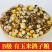 幼鸽粮鸽子饲料鸽子料无玉米无豌豆小嘴鸽观赏鸽信鸽幼鸽粮