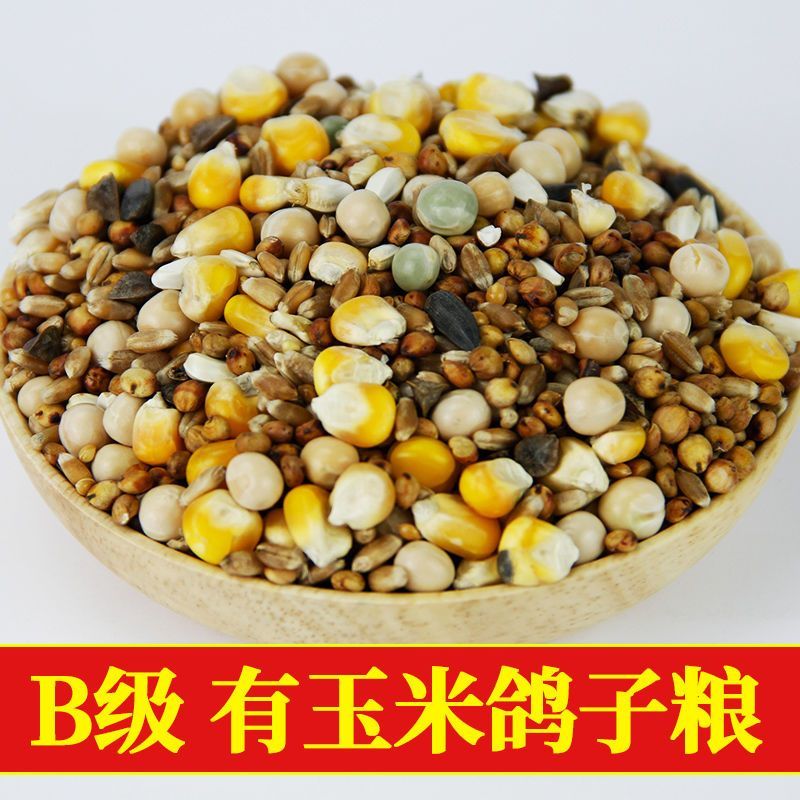 幼鸽粮鸽子饲料鸽子料无玉米无豌豆小嘴鸽观赏鸽信鸽幼鸽粮
