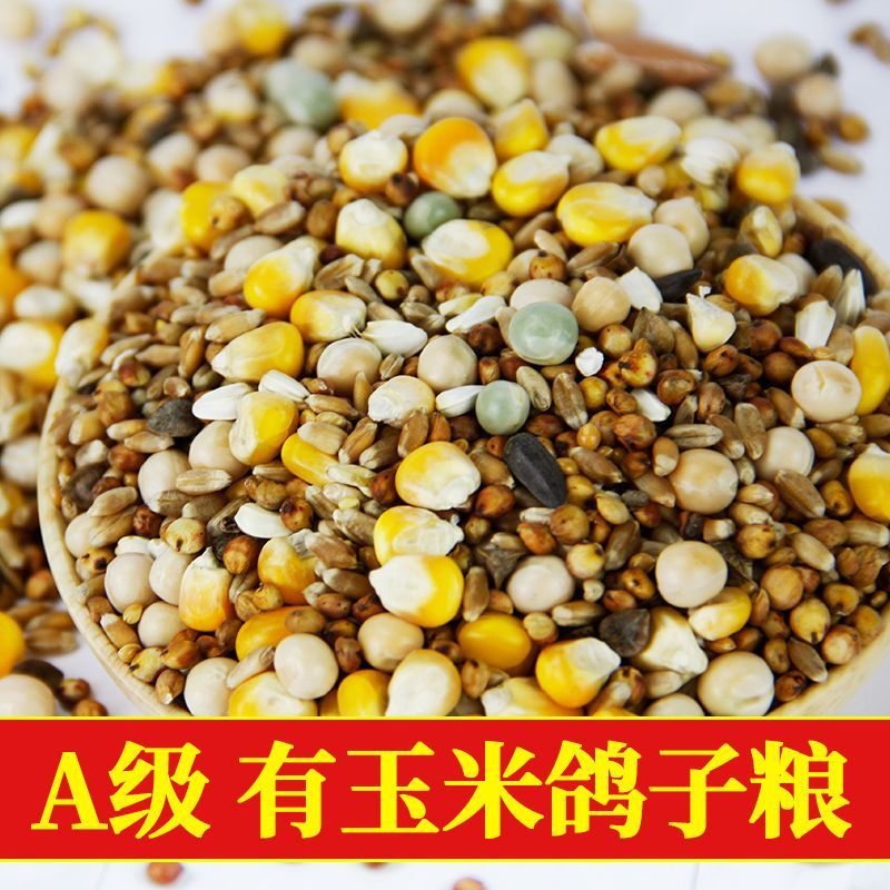幼鸽粮鸽子饲料鸽子料无玉米无豌豆小嘴鸽观赏鸽信鸽幼鸽粮