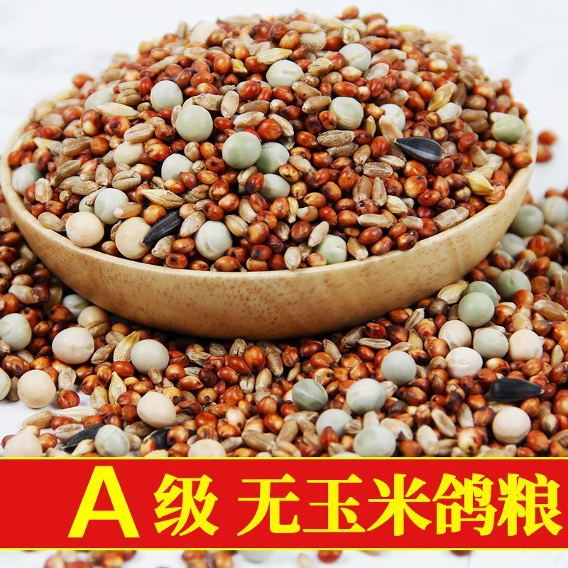 幼鸽粮鸽子饲料鸽子料无玉米无豌豆小嘴鸽观赏鸽信鸽幼鸽粮