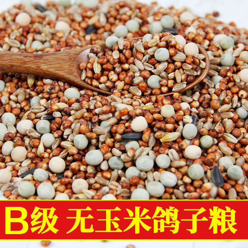幼鸽粮鸽子饲料鸽子料无玉米无豌豆小嘴鸽观赏鸽信鸽幼鸽粮