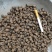 正宗巴戟天中药材老树新货批发抽芯紫肉蒸盐制巴戟肉煲汤泡酒