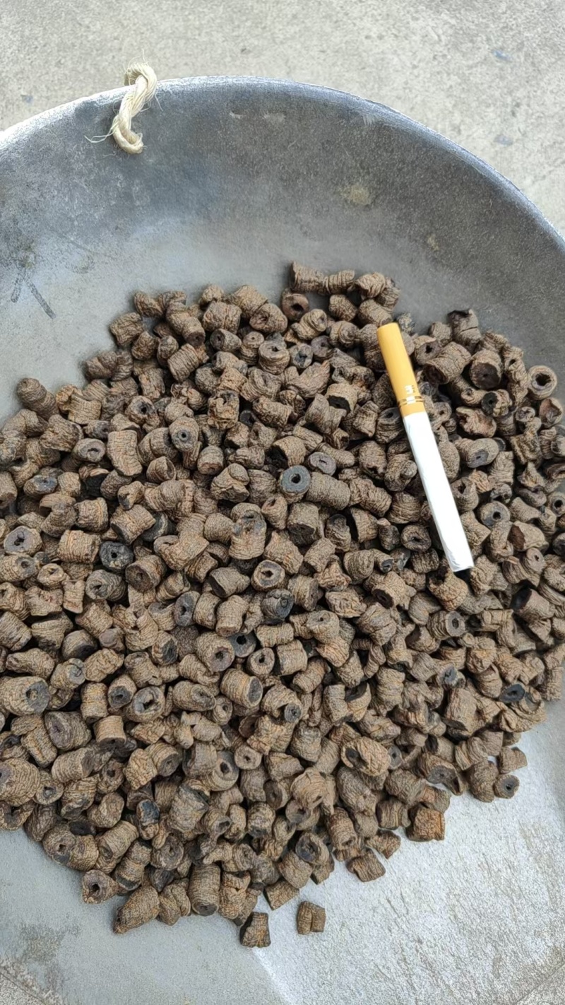 正宗巴戟天中药材老树新货批发抽芯紫肉蒸盐制巴戟肉煲汤泡酒