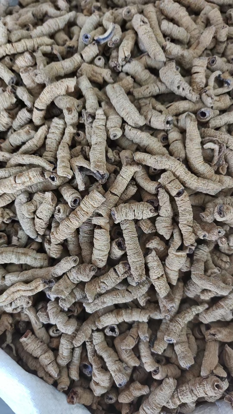 正宗巴戟天中药材老树新货批发抽芯紫肉蒸盐制巴戟肉煲汤泡酒