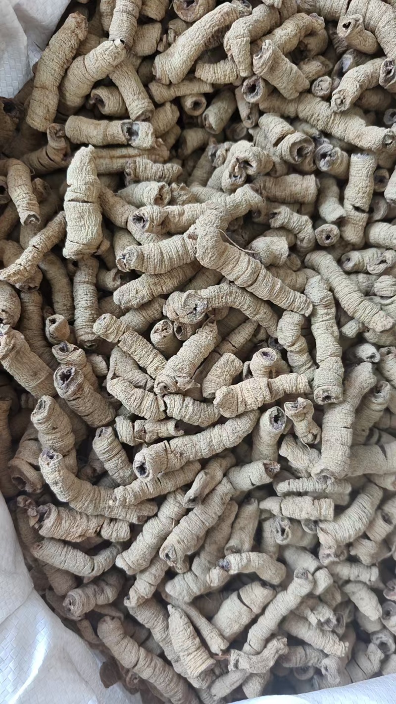 正宗巴戟天中药材老树新货批发抽芯紫肉蒸盐制巴戟肉煲汤泡酒