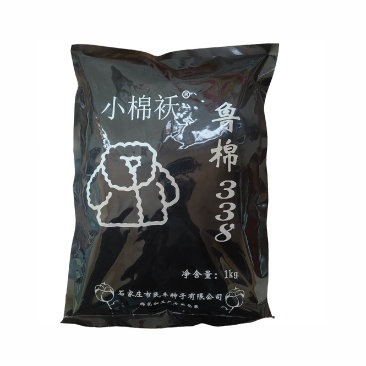鲁棉338棉花种子小棉袄棉籽