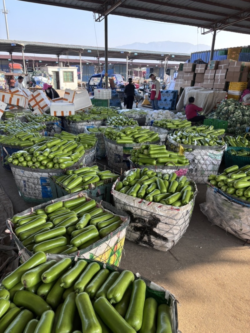 瓠瓜