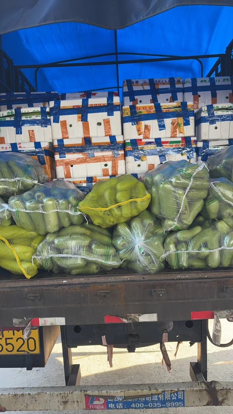 瓠瓜