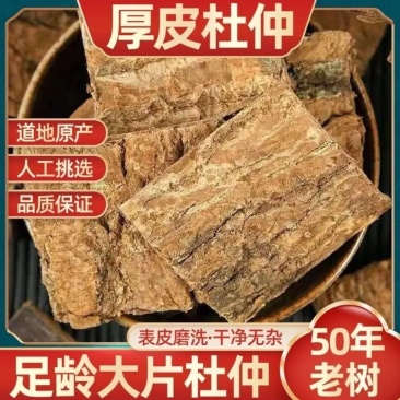 杜仲皮正品老树厚皮杜仲茶中药材杜仲雄花茶补腰泡水