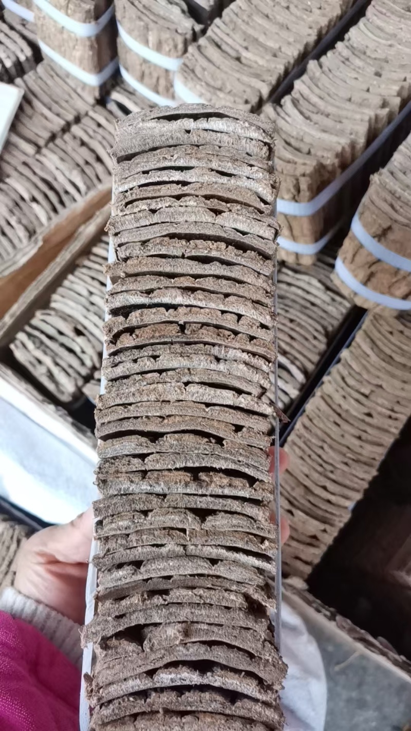 杜仲皮正品老树厚皮杜仲茶中药材杜仲雄花茶补腰泡水
