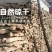 广西山木柴