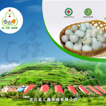来自千亩松林的有机松针绿壳蛋有机认证鸡蛋
