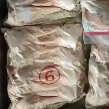 一级鸭9头30吨