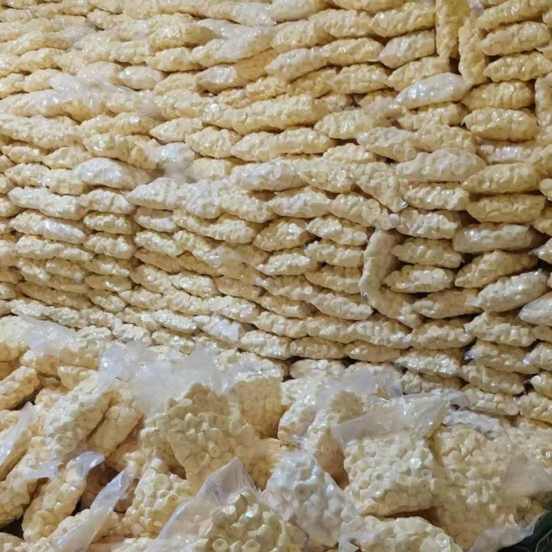 华南九号黄心木薯木薯
