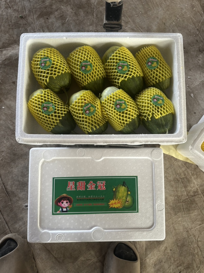 金冠甜瓜，山东青州甜瓜，代收代发，嘎嘎甜，电商团购超市