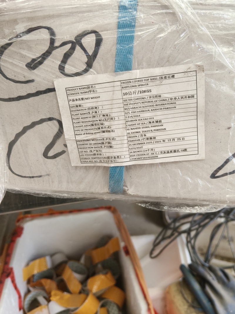 花螺新鲜冷冻花螺海鲜