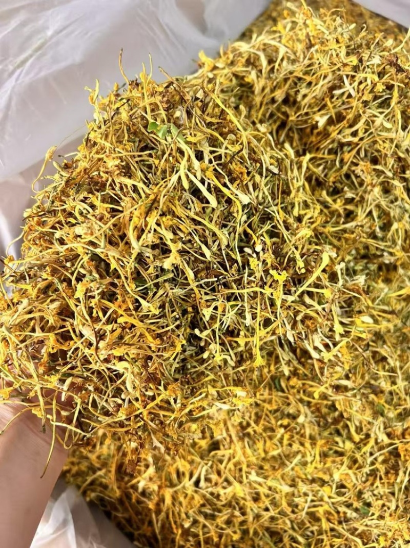 金银花云南金银花货好价优需要的老板联系