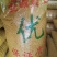 黄豆