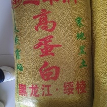 黄豆