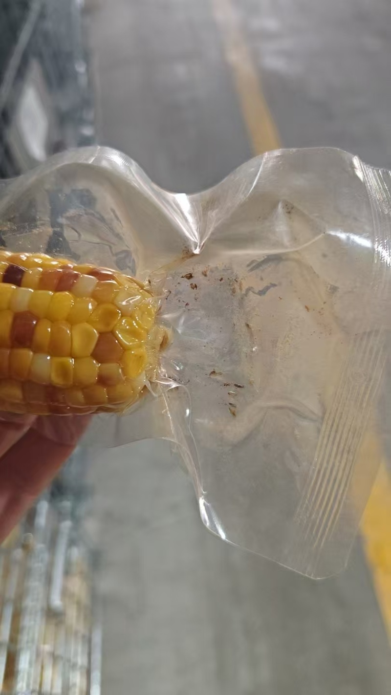 真空独立包装，口感脆甜，非转基因玉米，打开袋子直接可以吃