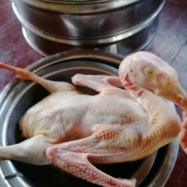 有鹅味的鹅