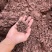 红土风化石颗粒土1-3毫米（按斤售卖）