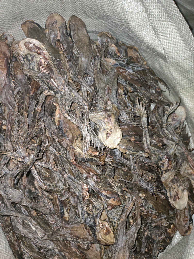 超大个去内脏干蟾，湖南，湖北货