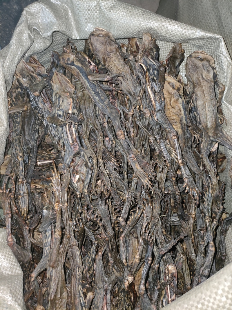 超大个去内脏干蟾，湖南，湖北货