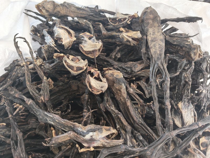 超大个去内脏干蟾，湖南，湖北货
