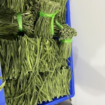 大理种植户贡菜干！本地货源，价格真实，量大优惠！