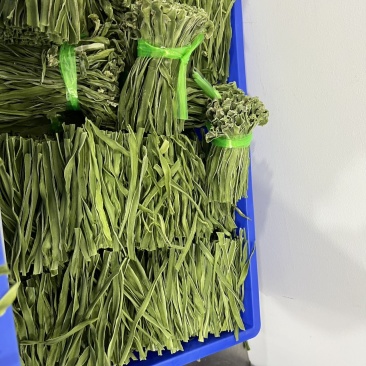 大理种植户贡菜干！本地货源，价格真实，量大优惠！