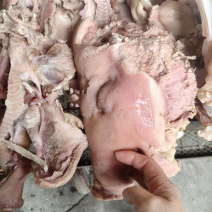 半成品猪头肉