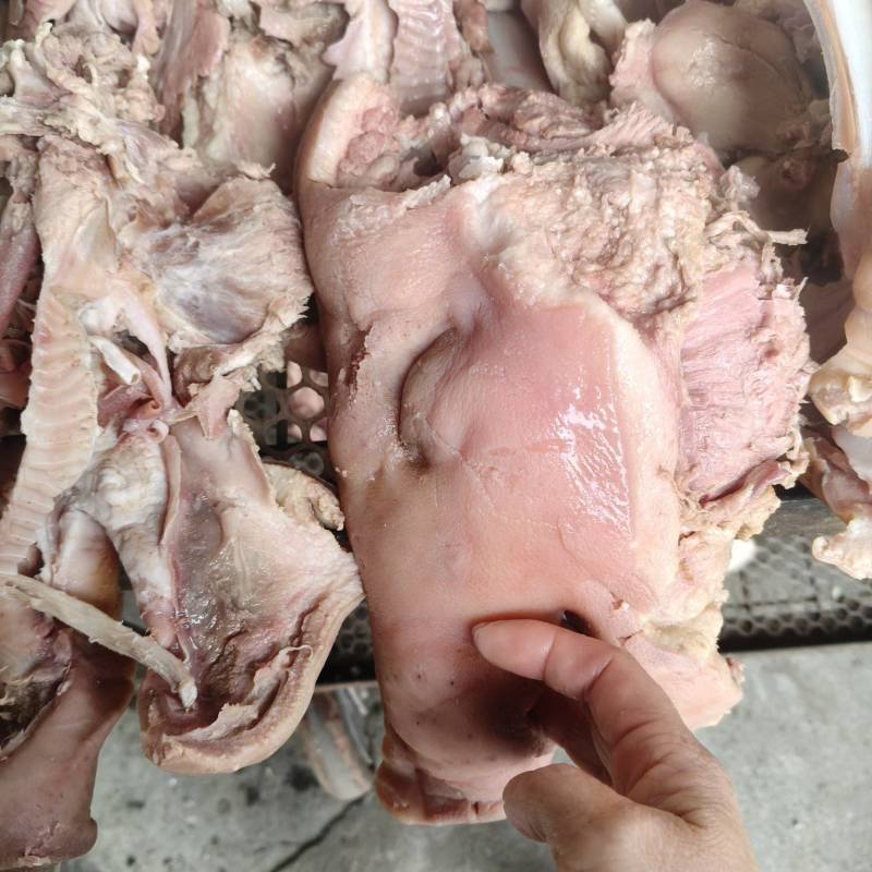 半成品猪头肉