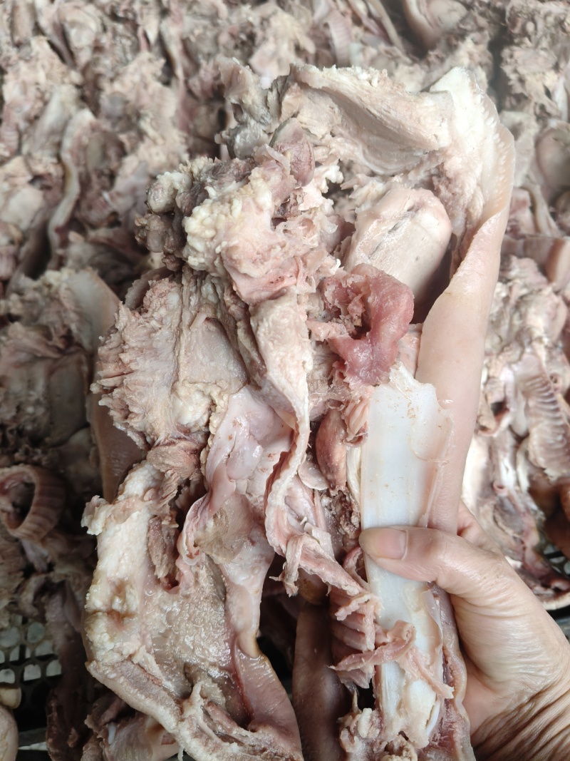 半成品猪头肉
