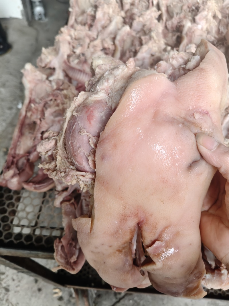 半成品猪头肉
