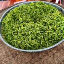自家父母种植的绿茶。