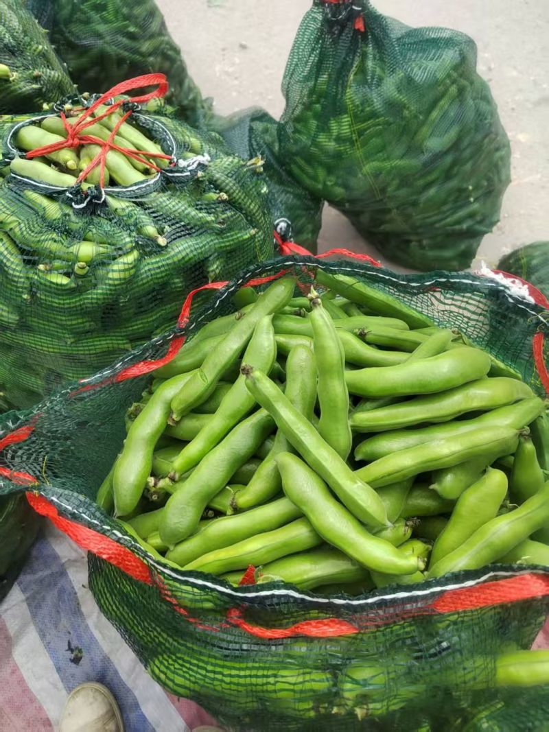 精品蚕豆，非诚勿扰