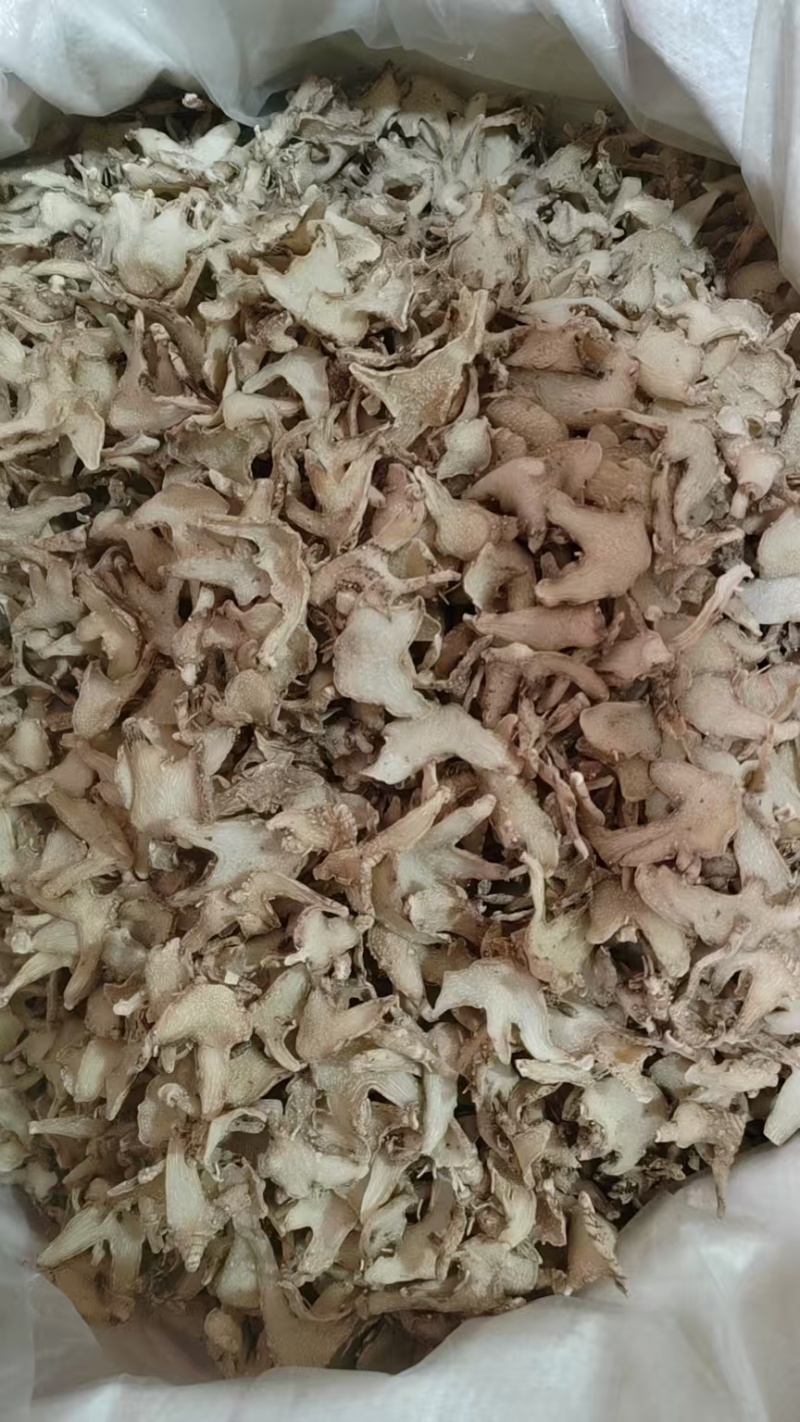 正宗白芨中药材旱白芨片三叉白及面膜粉软膜野生白及新货切片