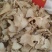 正宗白芨中药材旱白芨片三叉白及面膜粉软膜野生白及新货切片